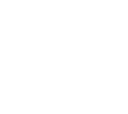 TD White