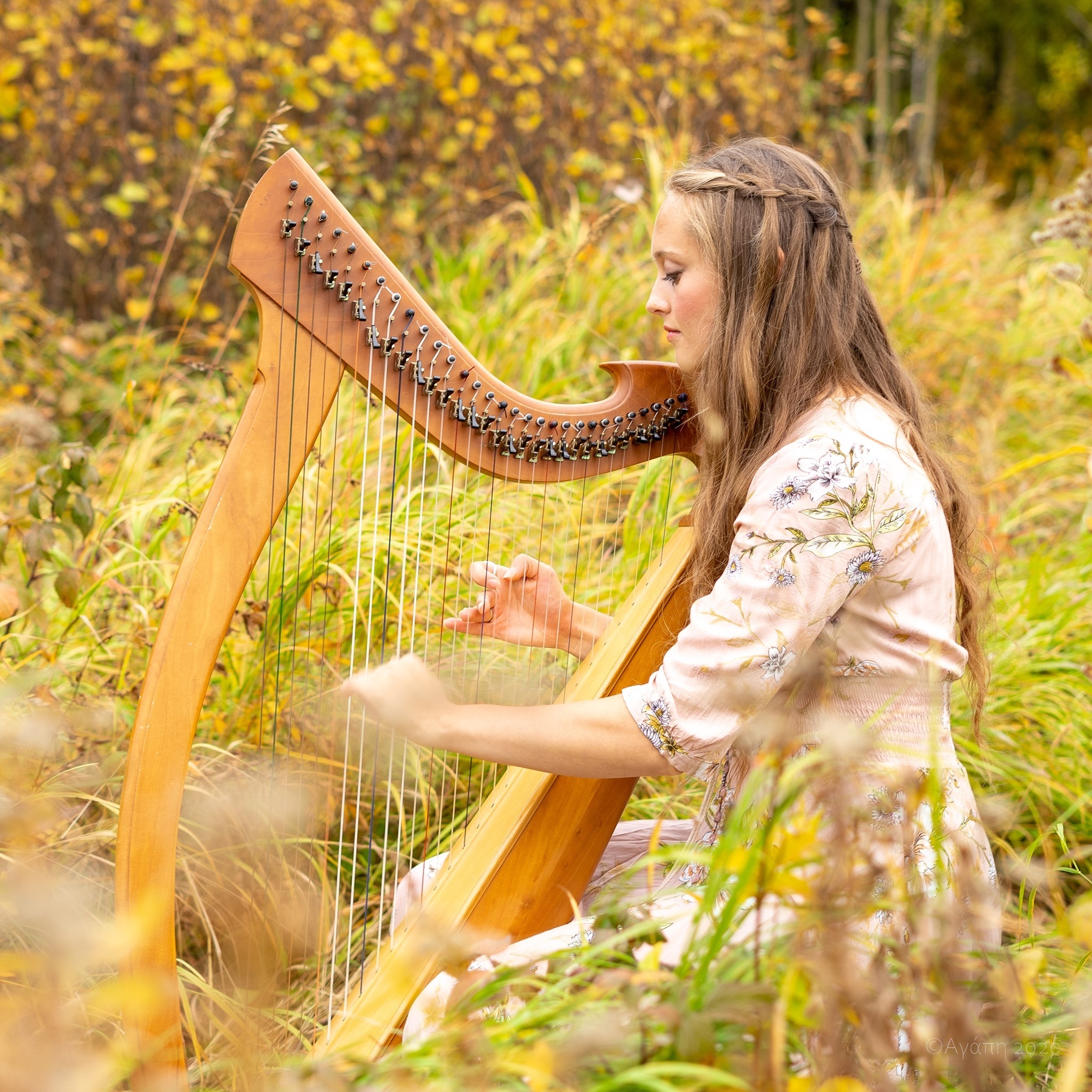 120930801_10158643409124844_1897581473503550907_o