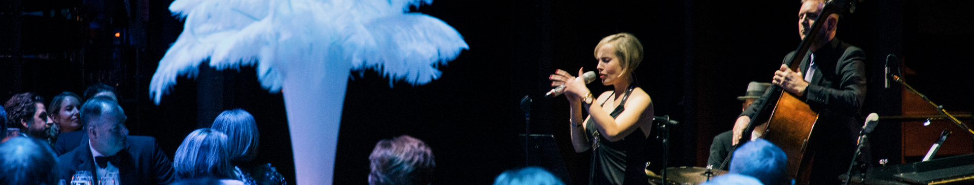 46040241462_7b78059d13_o